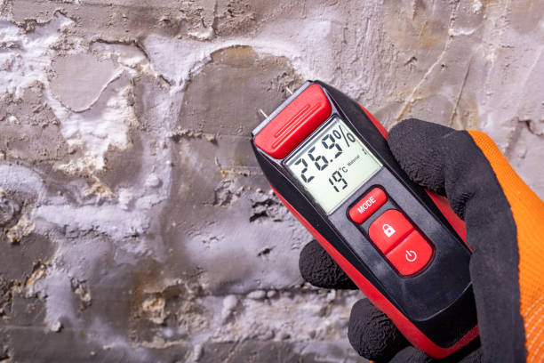 Best Mold Damage Repair  in Linwood, PA