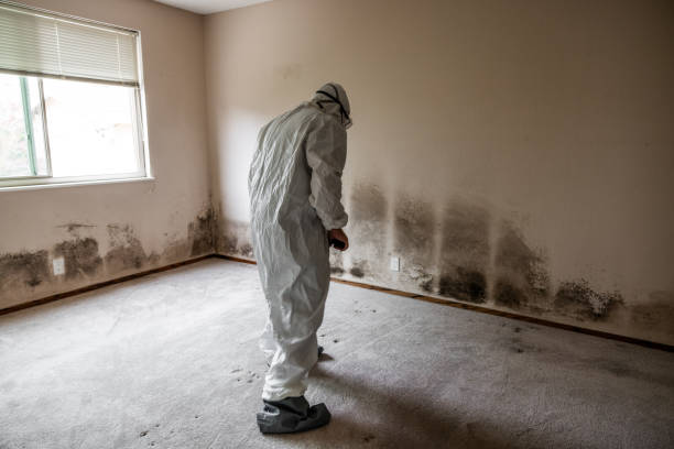 Best Residential Mold Removal  in Linwood, PA